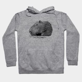 Capybara Hoodie